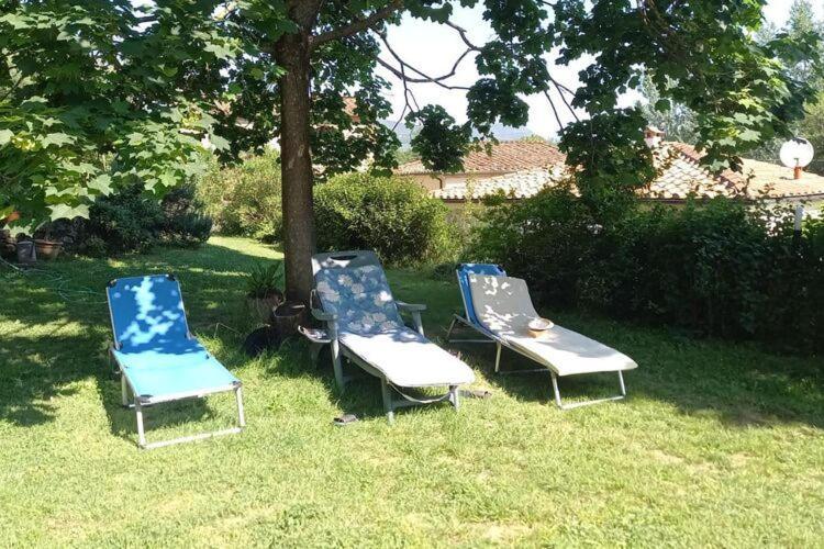 Holiday Home Casa Carla, Ripafratta Екстериор снимка